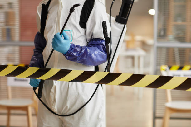 Professional Sewage Cleanup technician working in Marble Hill, MO